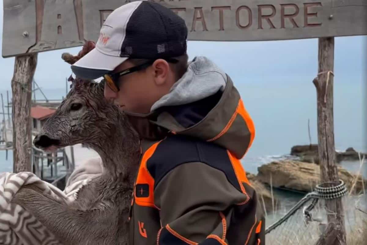 14enne dal cuore d’oro: si tuffa per salvare un capriolo ferito nel mare della Costa dei Trabocchi 1 capriolo.jpg