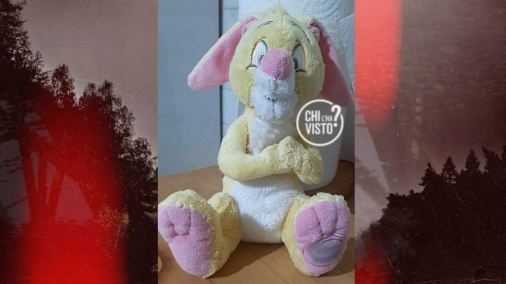 chi lah visto pupazzo bambina autistica 1.jpg