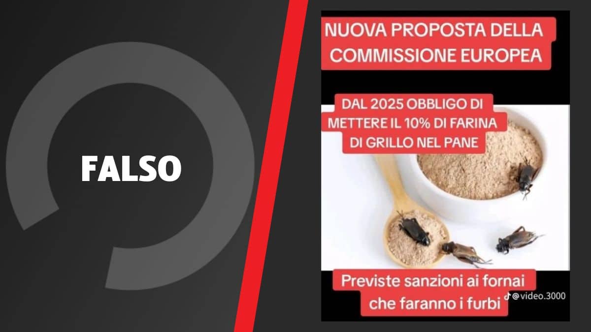 commissione europea farina grillo fornai obbligo 2025 fake fc.jpg