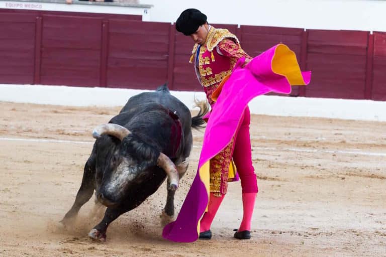 corrida.jpg