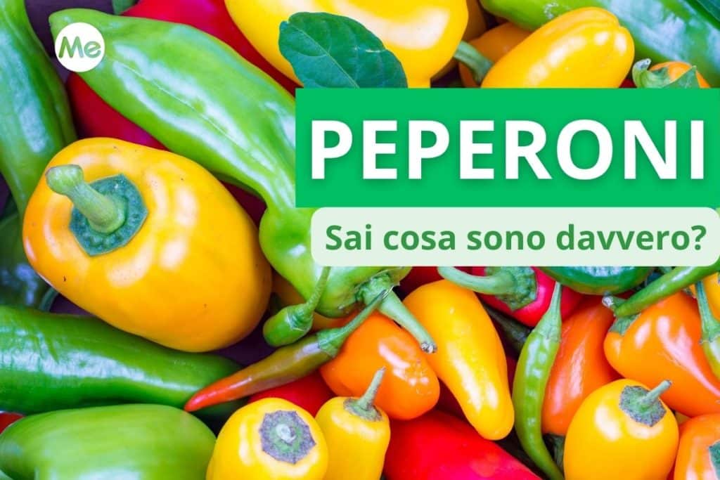 cosa sono i peperoni.jpg