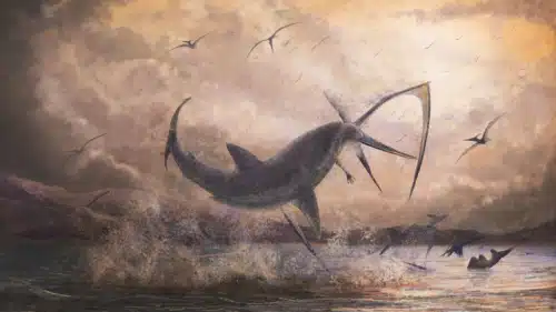 dinosauro 1 500x281.webp