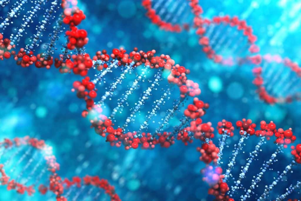 dna eta biologica.jpg