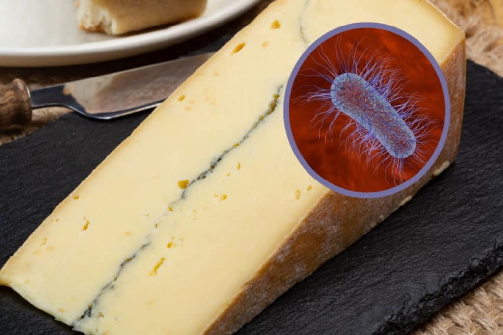 e coli formaggio.jpg