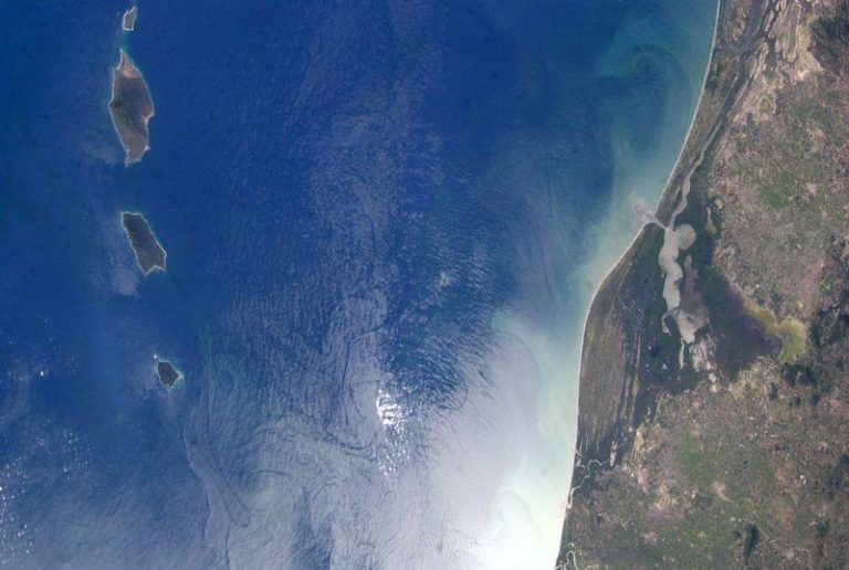 eastern pacific m.jpg