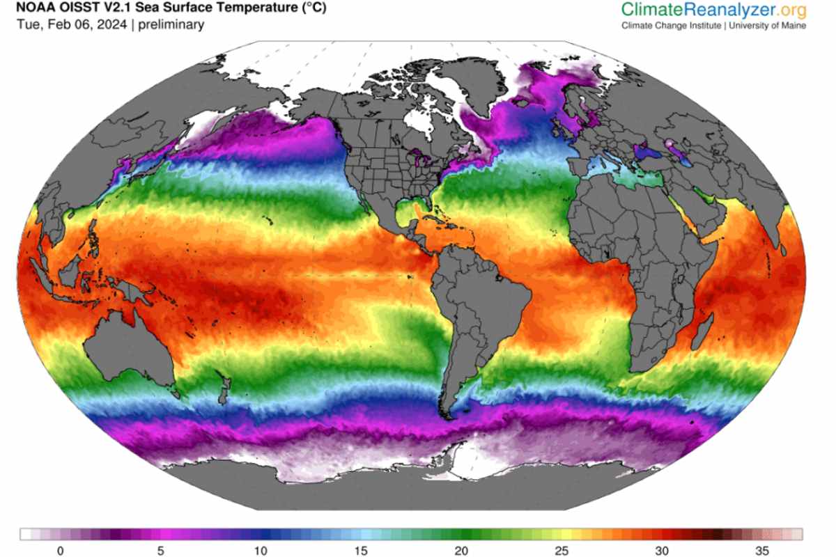 Febbraio sta per battere un numero senza precedenti di ondate di calore, l’allarme dei meteorologi 1 febbraio caldo.jpg