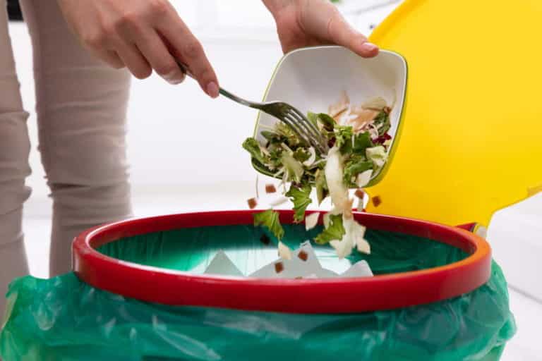 food waste.jpg