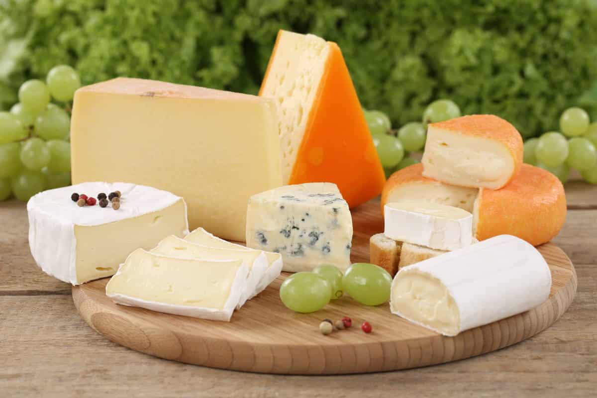 formaggi francesi camembert.jpg