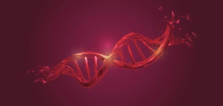 genetics m.jpg
