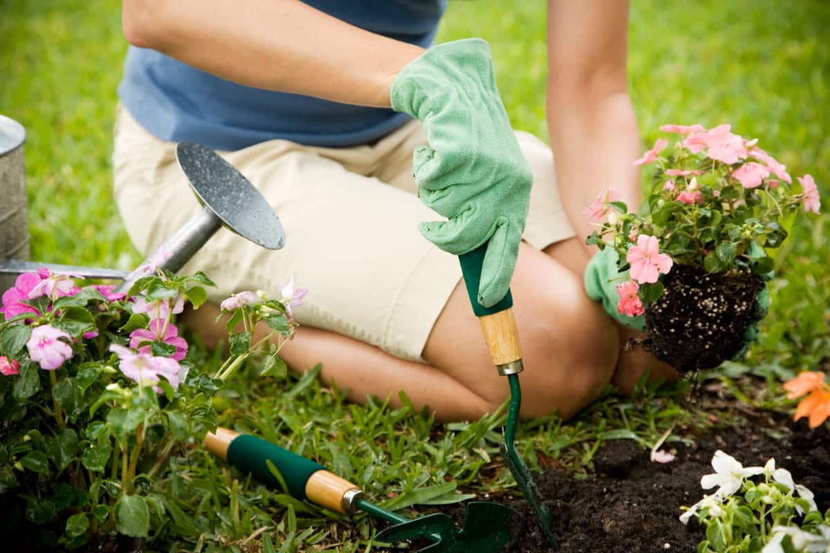 giardinaggio min.jpg