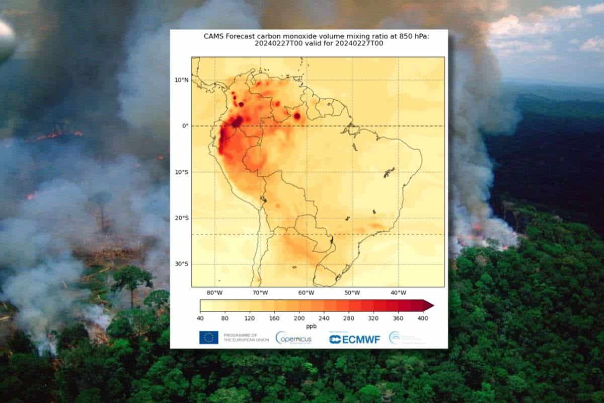 S.O.S incendi in Brasile: oltre 1 milione di ettari andati in fumo solo a gennaio (ed è record di emissioni di CO2) 1 incendi brasile 1.jpg