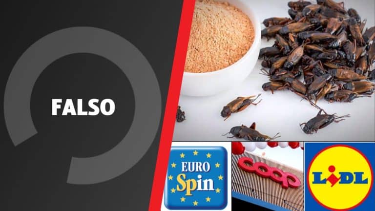 insetti lidl eurospin coop.jpg