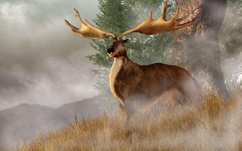 irish elk m.jpg