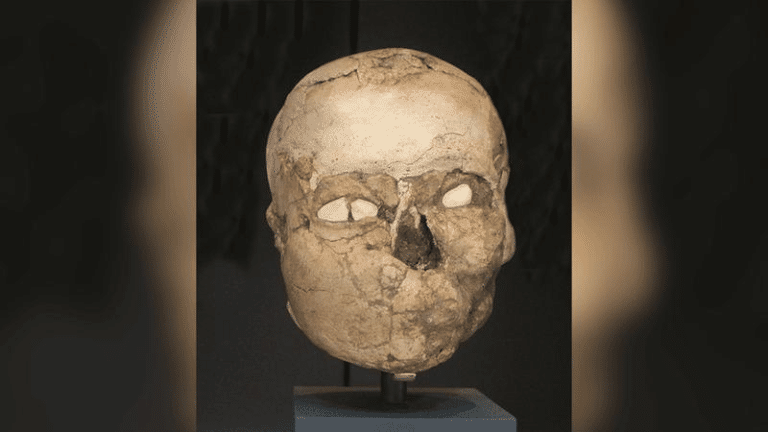 jericho skull m.png