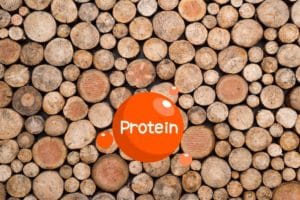 legno proteine.jpg