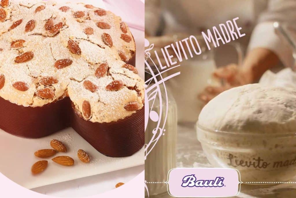 lievito madre bauli salvato.jpg