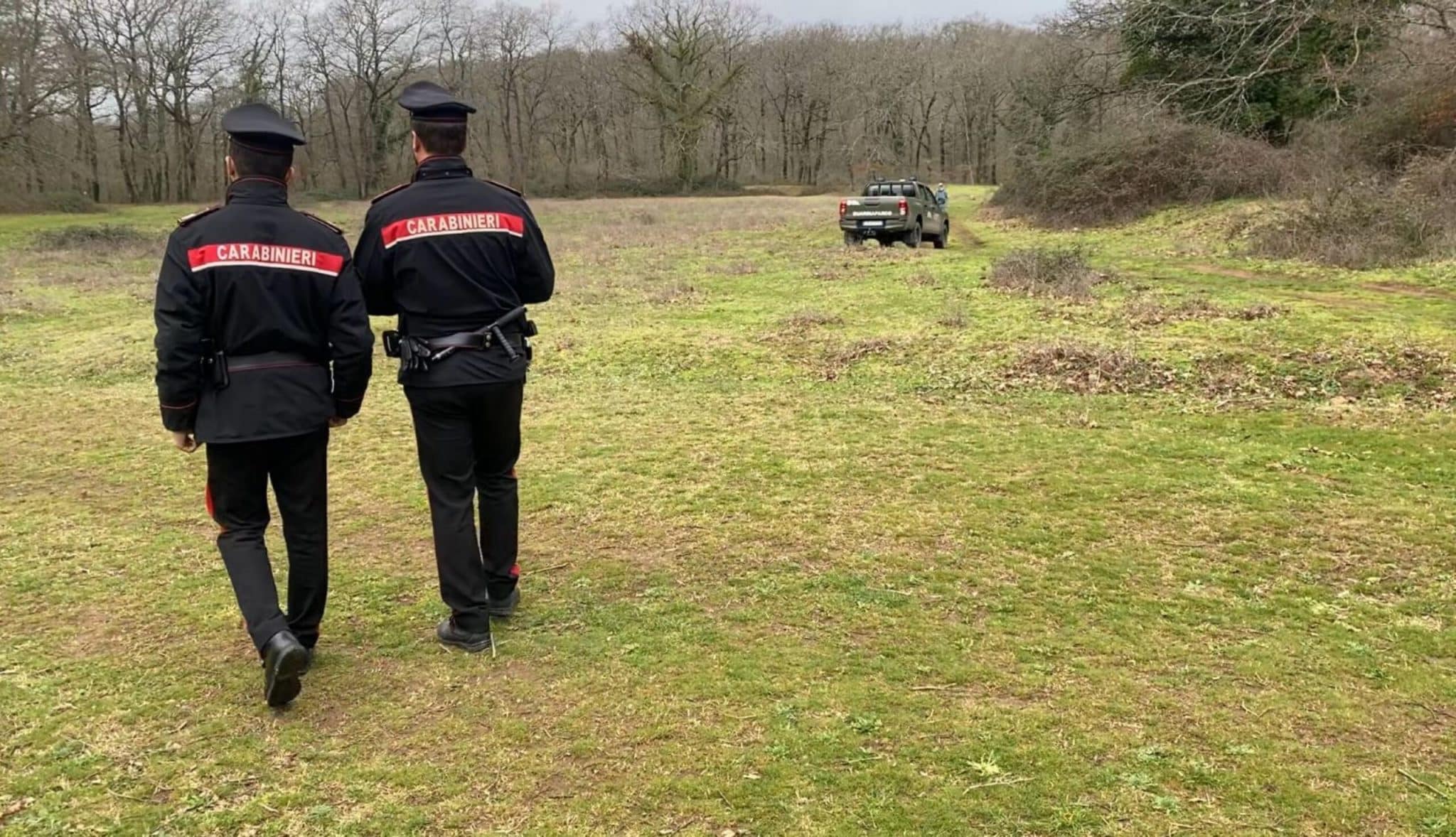 Manziana, indagati i proprietari dei tre rottweiler che hanno ucciso Paolo Pasqualini: accusati di omicidio colposo e omessa custodia 1 manziana scaled.jpg