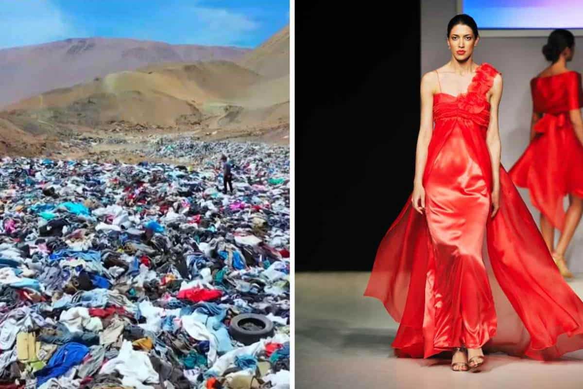 Non è tutt’oro quel che luccica: la docuserie che racconta la storia della moda, tra luci e ombre 1 moda .jpg