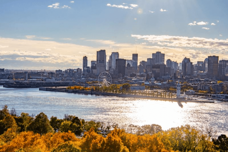 Inquinamento farmaceutico nel fiume San Lorenzo: una minaccia per la vita acquatica 1 montreal m.png