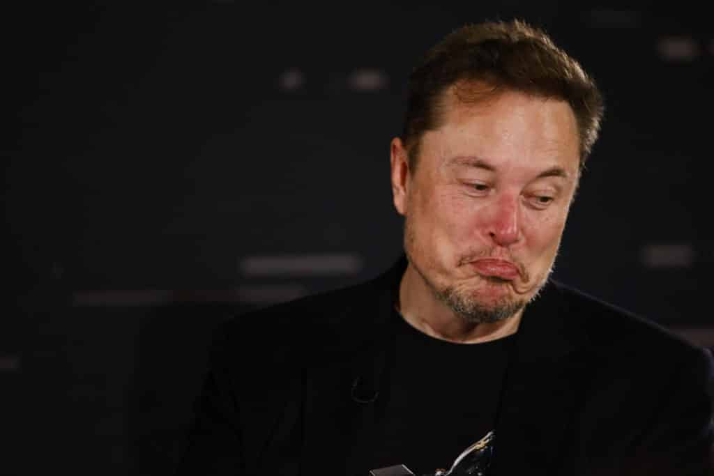 musk scaled.jpg