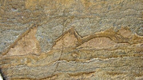 I fossili più antichi del mondo sono stati trovati in Groenlandia 1 oldest fossil 1 500x280.jpg