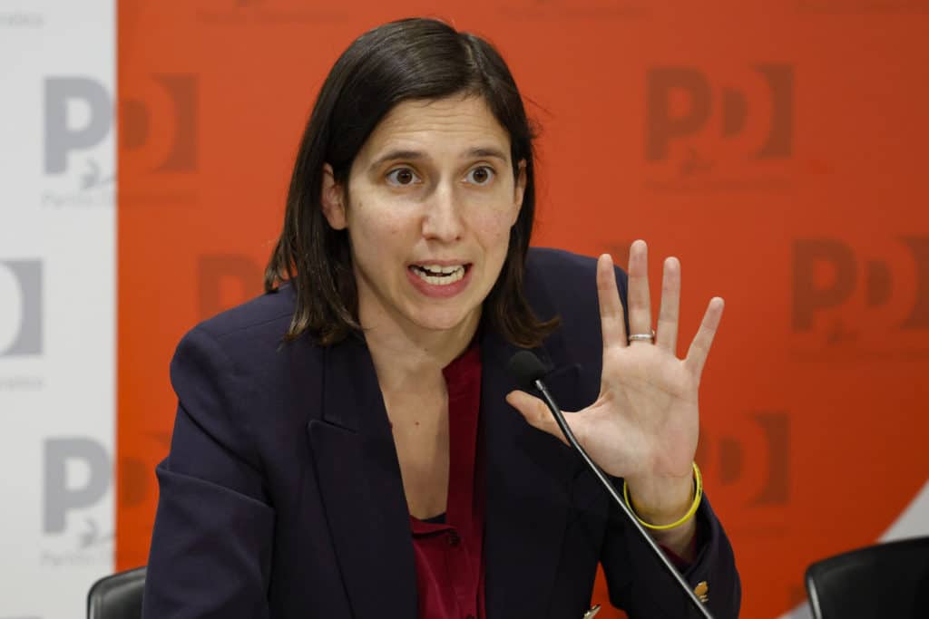 pd schlein medio oriente scaled.jpg