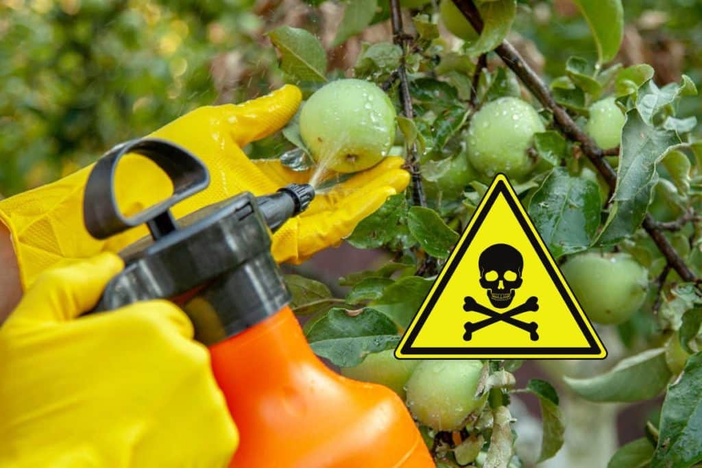 pesticidi mele alto adige.jpg