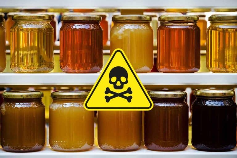 pesticidi miele.jpg