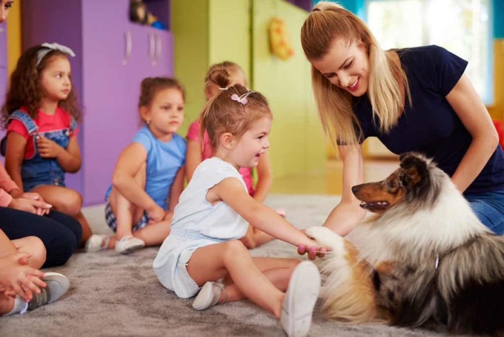 pet therapy.jpg
