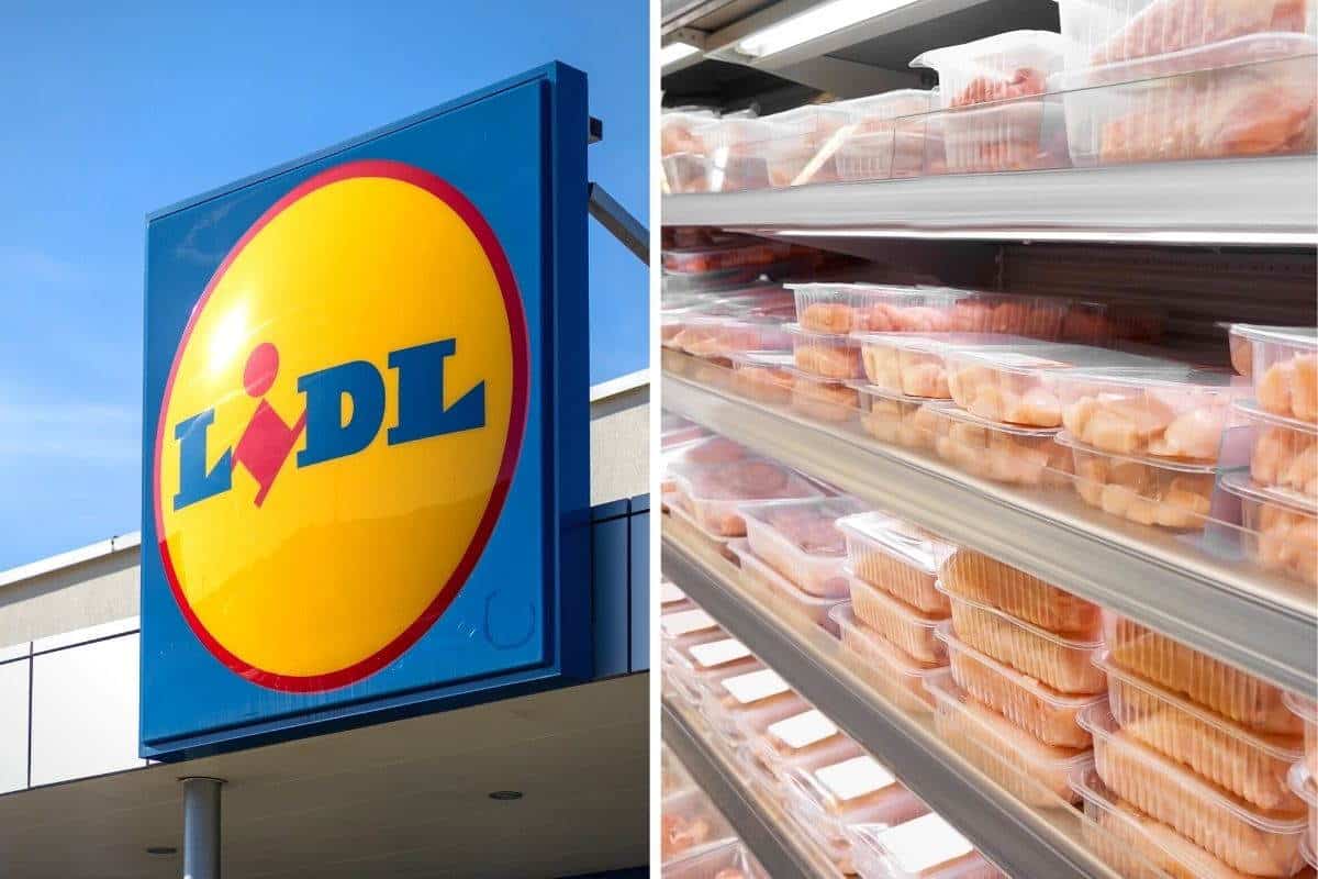 polli lidl.jpg