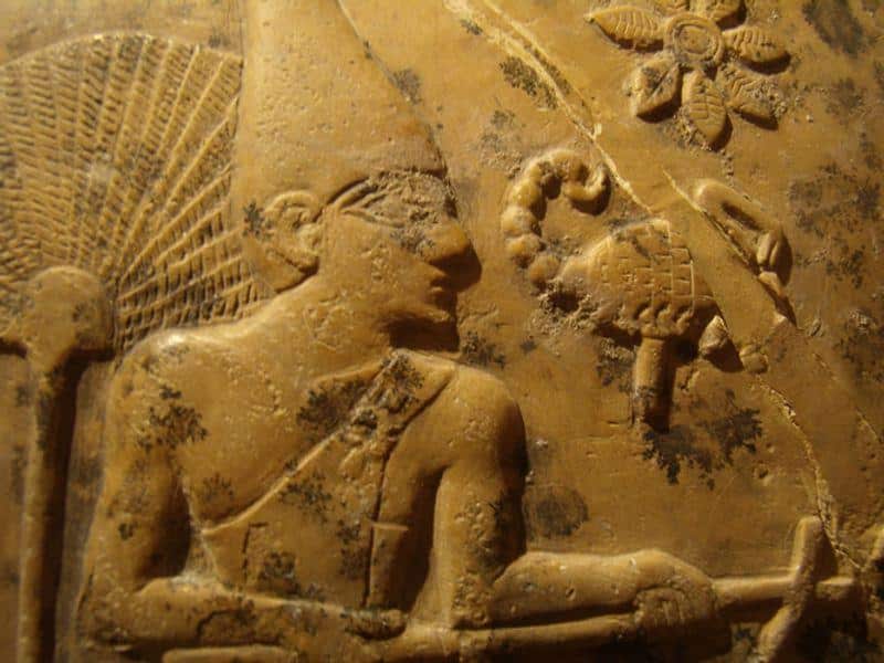 scorpion king m.jpg