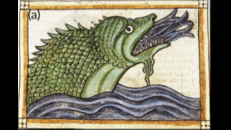 seamonster2 fitted 1.png