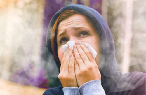 smog 500x326.jpg