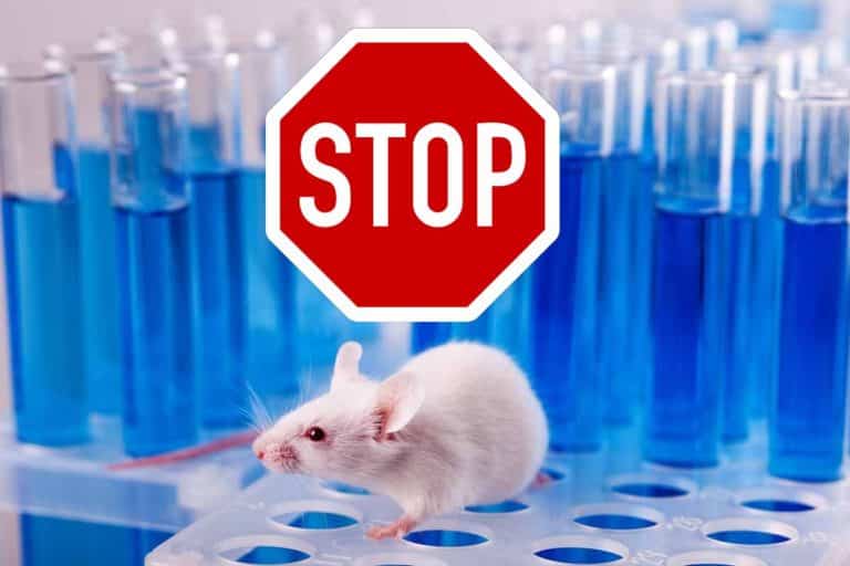 stop test animali.jpg