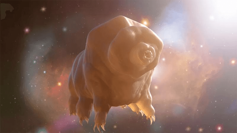 tardigrade in space m.png