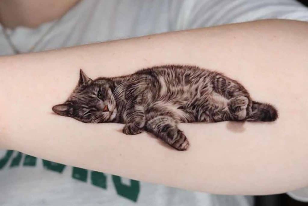 tatuatrice.jpg