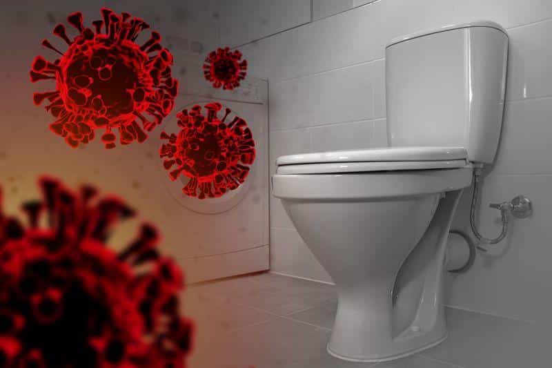 toilet with red rendered virus particles to the left m.jpg