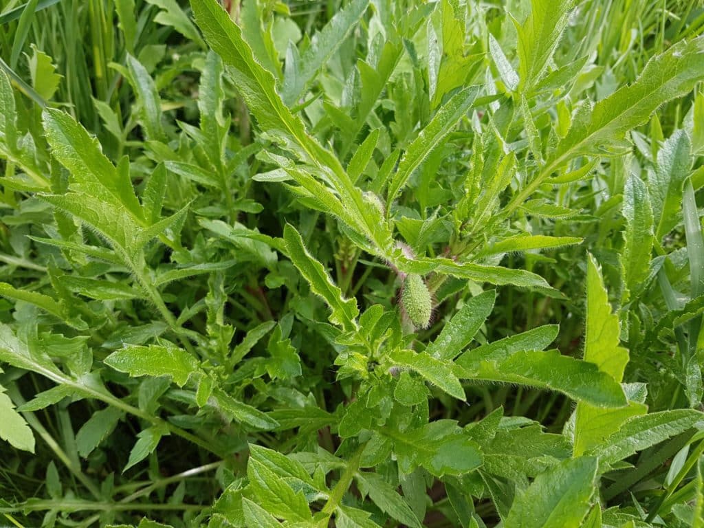 AdobeStock 117261949 scaled.jpeg