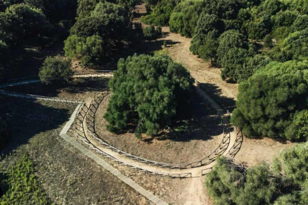 Albero europeo dellanno.jpg