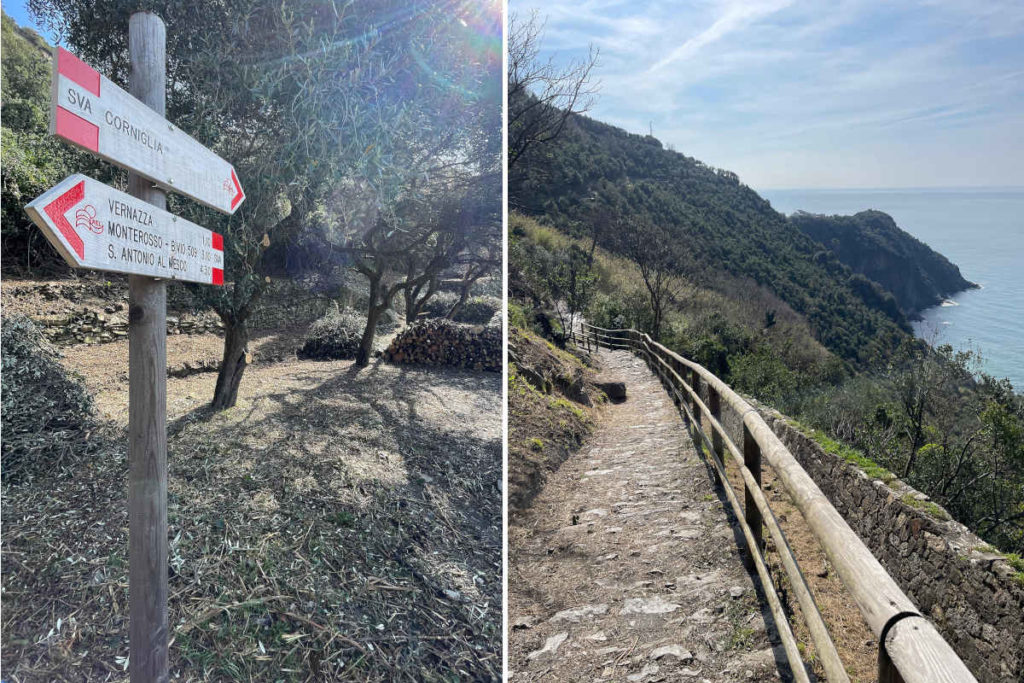 Cinque Terre.jpg