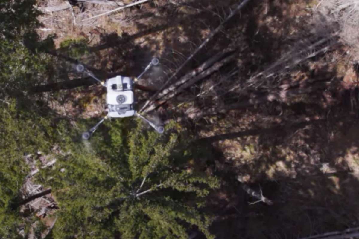 Droni per far risorgere le foreste distrutte dal bostrico dell’abete rosso: succede ora in Austria 1 Droni Austria.jpg