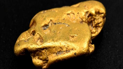 GoldNuggetCloseUp 1 500x281.jpg