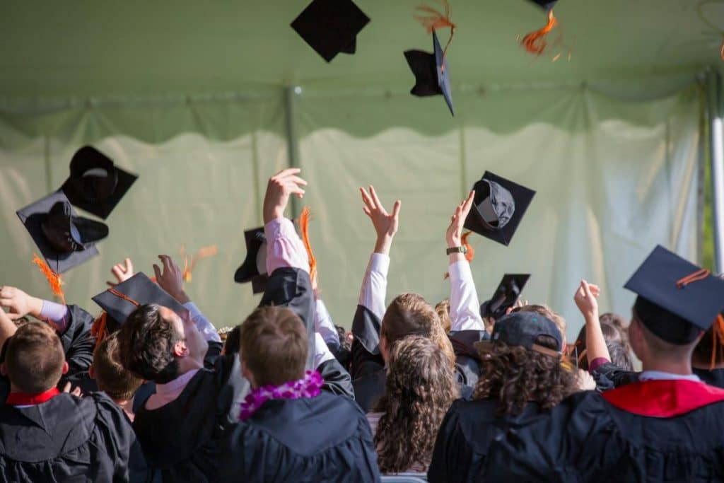 Laurea europea.jpg