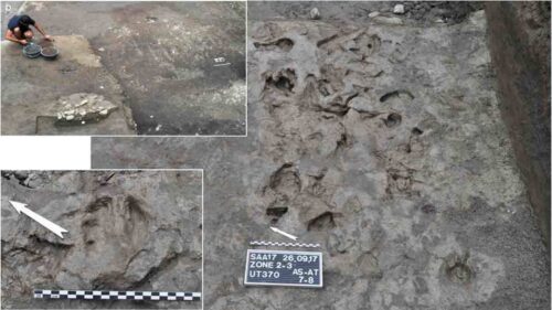 Oldest Plough Marks 1 500x281.jpg