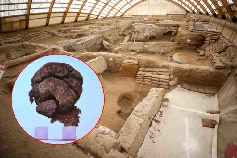 Pagnotta di pane di 8600 anni.jpg