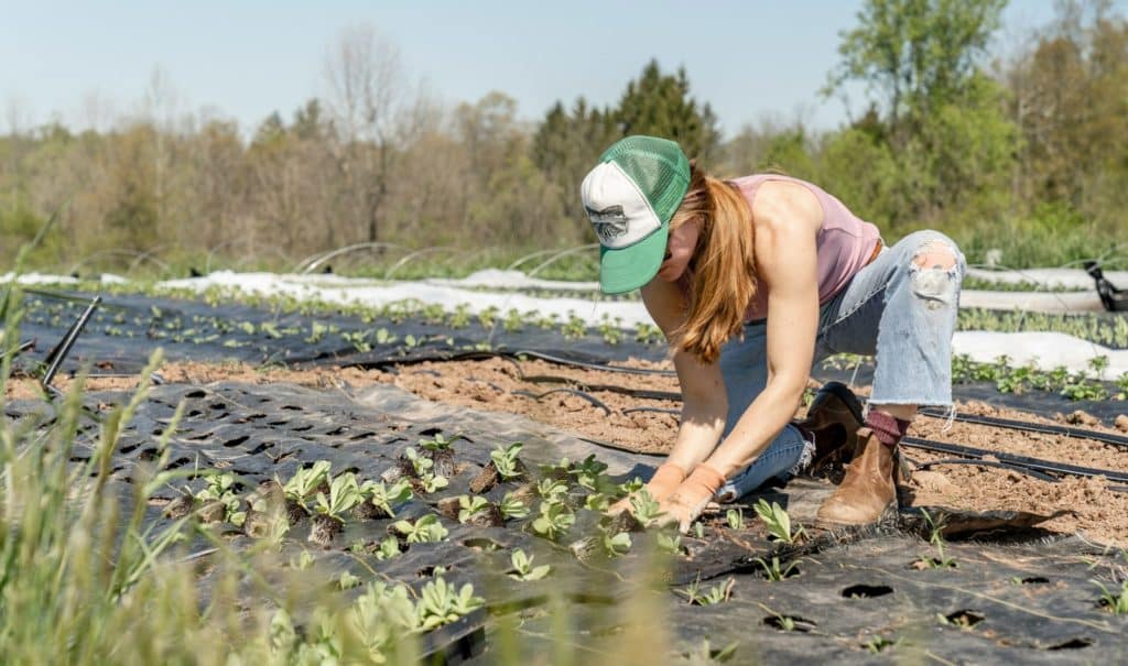 agricoltura giovani scaled.jpg