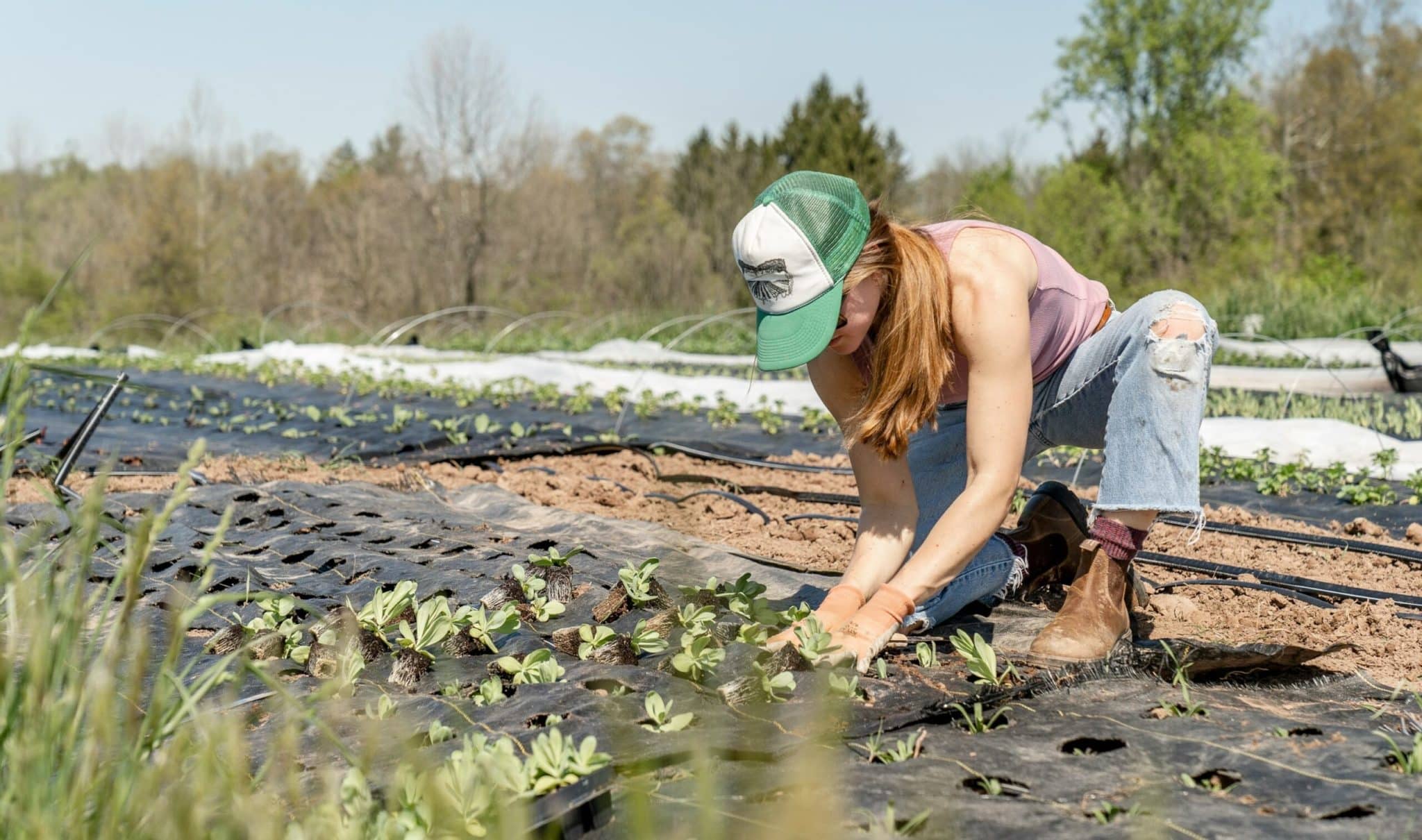 L’Italia agli ultimi posti Ue per aziende agricole gestite da under 40. Ma i giovani agricoltori fatturano il doppio – Le storie 1 agricoltura giovani scaled.jpg