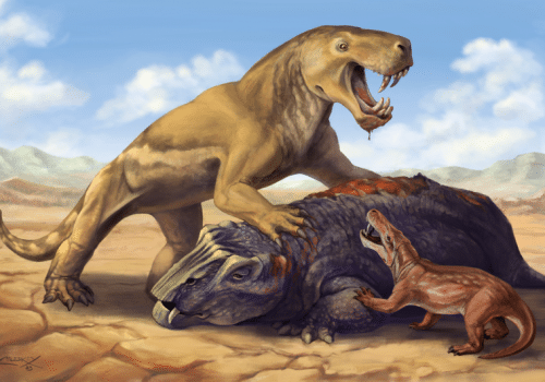 animale 500x350.png