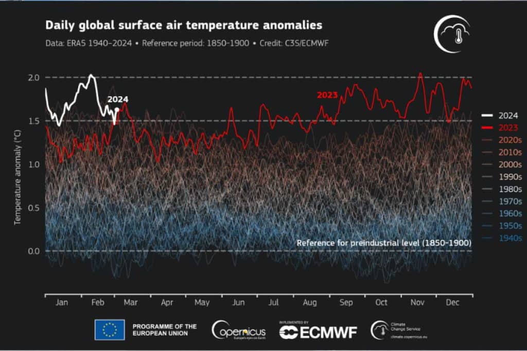 caldo record febbraio.jpg