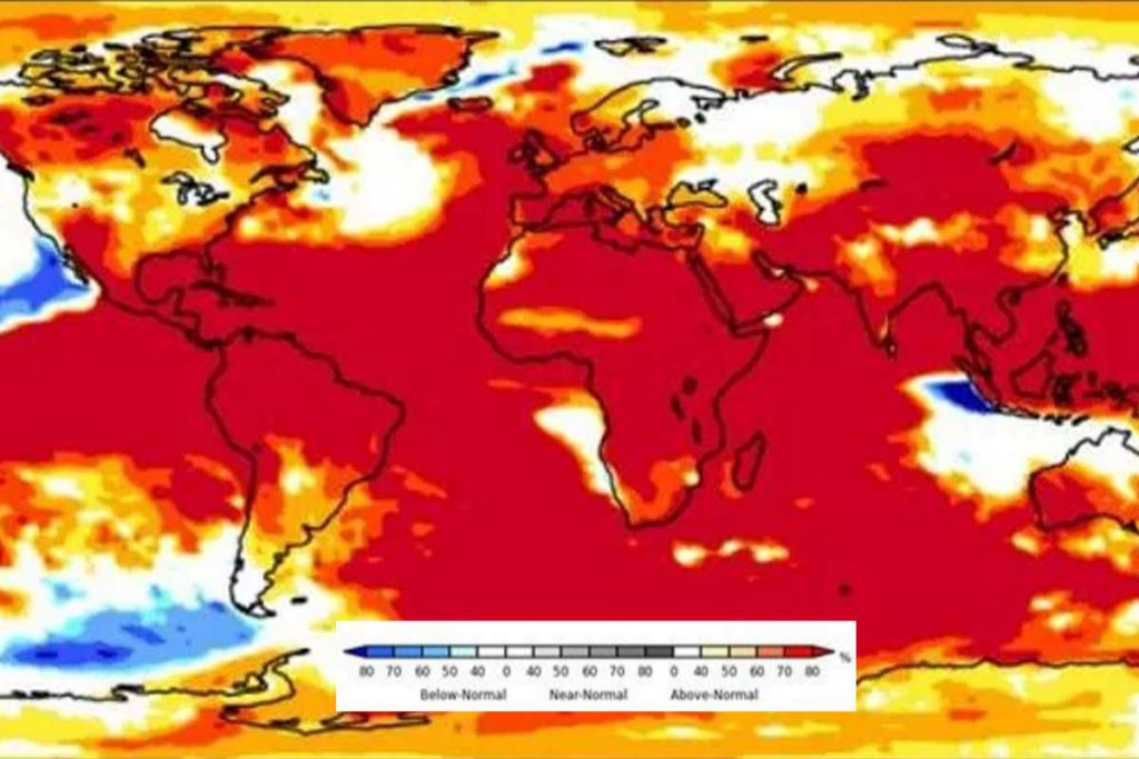 caldo wmo.jpg